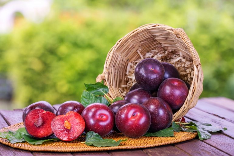 5 summer fruits to beat the heat and stay healthy this season
