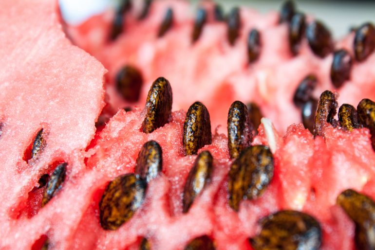 Eating watermelon this summer? Don’t throw away its healthy seeds